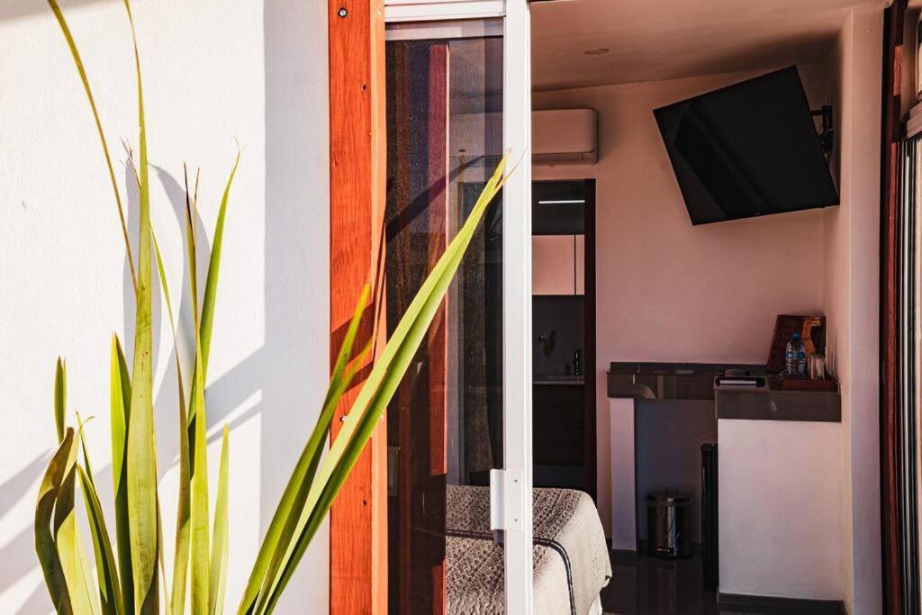 Вилла Cabana El Alamo Con Jacuzzi Валье-де-Гуадалупе Экстерьер фото